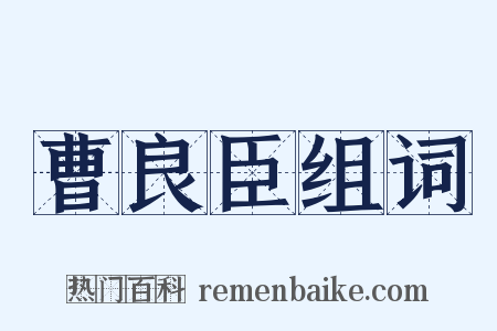 曹良臣组词是什么意思的图片